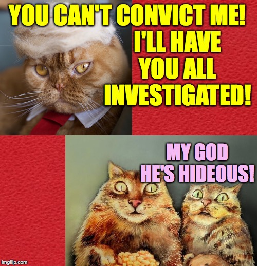 YOU CAN'T CONVICT ME! MY GOD HE'S HIDEOUS! I'LL HAVE YOU ALL INVESTIGATED! | made w/ Imgflip meme maker