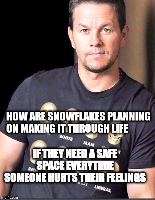 Mark Wahlberg | HOW ARE SNOWFLAKES PLANNING ON MAKING IT THROUGH LIFE; IF THEY NEED A SAFE SPACE EVERYTIME SOMEONE HURTS THEIR FEELINGS | image tagged in mark wahlberg | made w/ Imgflip meme maker