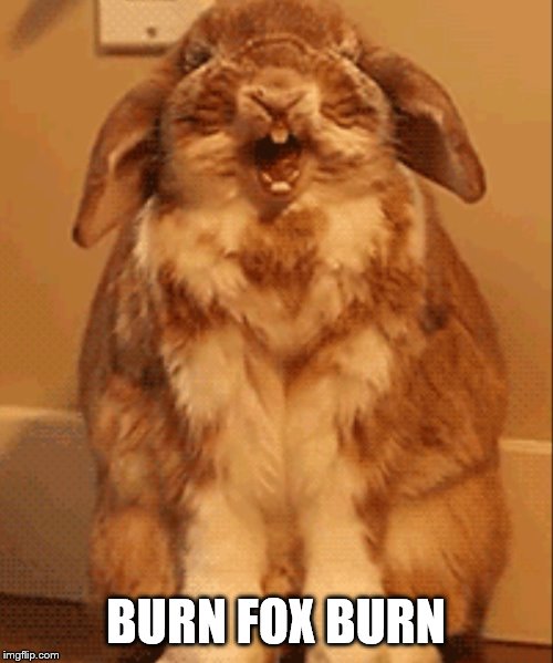 Happy bunny | BURN FOX BURN | image tagged in happy bunny | made w/ Imgflip meme maker