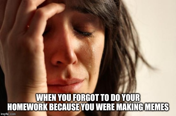 First World Problems | WHEN YOU FORGOT TO DO YOUR HOMEWORK BECAUSE YOU WERE MAKING MEMES | image tagged in memes,first world problems | made w/ Imgflip meme maker