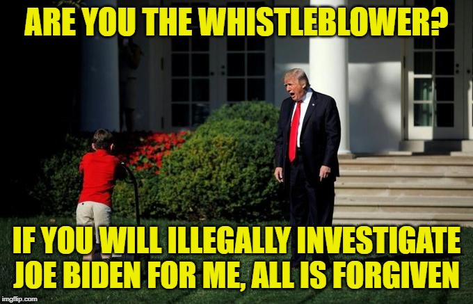 Whistleblower Protection Act Of 1989 Passed The U.S. Senate 97-0 & Signed Into Law By George H.W. Bush.. | ARE YOU THE WHISTLEBLOWER? IF YOU WILL ILLEGALLY INVESTIGATE JOE BIDEN FOR ME, ALL IS FORGIVEN | image tagged in donald trump,joe biden | made w/ Imgflip meme maker