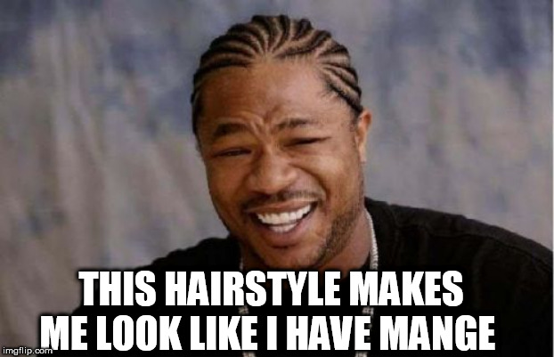 Yo Dawg Heard You Meme | THIS HAIRSTYLE MAKES ME LOOK LIKE I HAVE MANGE | image tagged in memes,yo dawg heard you | made w/ Imgflip meme maker