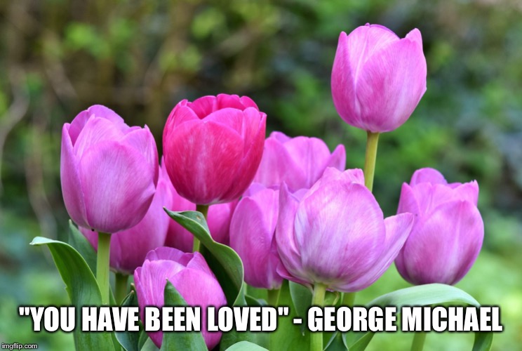 George Michael lyric | "YOU HAVE BEEN LOVED" - GEORGE MICHAEL | image tagged in song lyrics,tribute | made w/ Imgflip meme maker