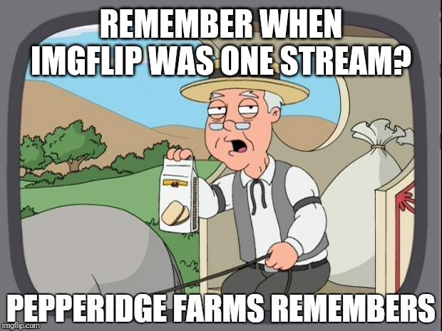 PEPPERIDGE FARMS REMEMBERS | REMEMBER WHEN IMGFLIP WAS ONE STREAM? | image tagged in pepperidge farms remembers | made w/ Imgflip meme maker