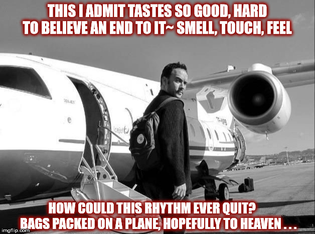 DMB~ Warehouse | THIS I ADMIT TASTES SO GOOD, HARD TO BELIEVE AN END TO IT~ SMELL, TOUCH, FEEL; HOW COULD THIS RHYTHM EVER QUIT?      BAGS PACKED ON A PLANE, HOPEFULLY TO HEAVEN . . . | image tagged in dmb,dave matthews,dave matthews band,dave,plane,warehouse | made w/ Imgflip meme maker
