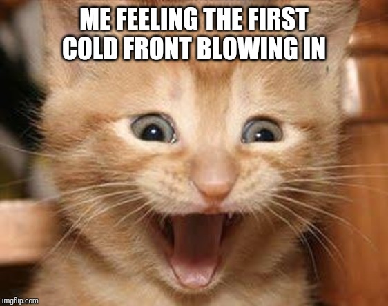 Excited Cat Meme | ME FEELING THE FIRST COLD FRONT BLOWING IN | image tagged in memes,excited cat,fall,cold weather,cold front | made w/ Imgflip meme maker