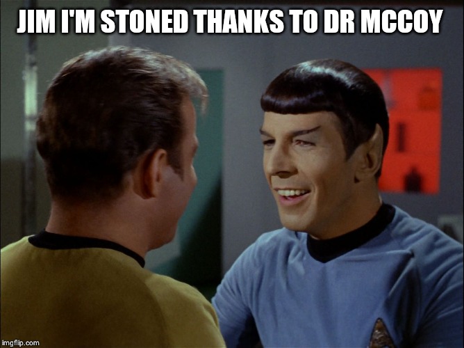 Star Trek | JIM I'M STONED THANKS TO DR MCCOY | image tagged in star trek | made w/ Imgflip meme maker