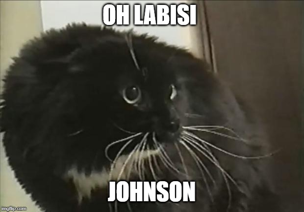 oh long Johnson | OH LABISI; JOHNSON | image tagged in oh long johnson | made w/ Imgflip meme maker