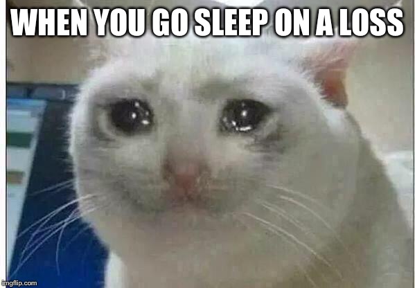 crying cat | WHEN YOU GO SLEEP ON A LOSS | image tagged in crying cat,starcraft | made w/ Imgflip meme maker