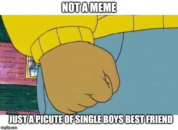 Arthur Fist | NOT A MEME; JUST A PICUTE OF SINGLE BOYS BEST FRIEND | image tagged in memes,arthur fist | made w/ Imgflip meme maker