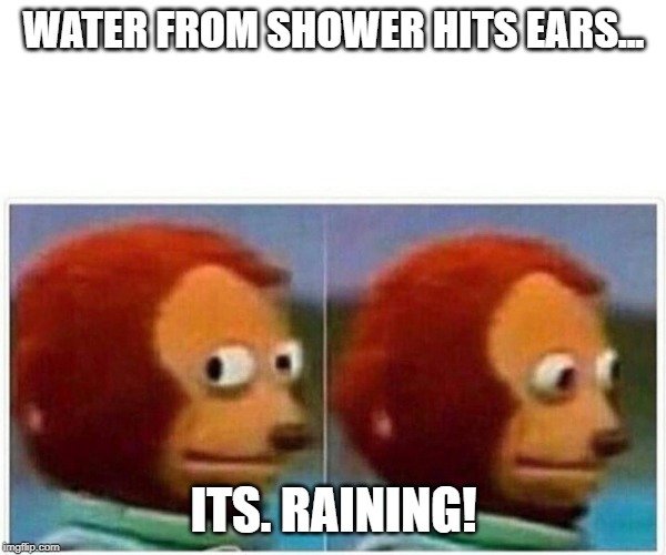 Monkey Puppet | WATER FROM SHOWER HITS EARS... ITS. RAINING! | image tagged in monkey puppet | made w/ Imgflip meme maker