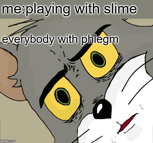 Unsettled Tom Meme | me:playing with slime; everybody with phlegm | image tagged in memes,unsettled tom | made w/ Imgflip meme maker