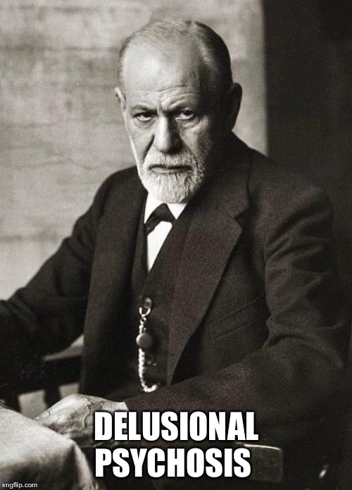 Freud | DELUSIONAL PSYCHOSIS | image tagged in freud | made w/ Imgflip meme maker