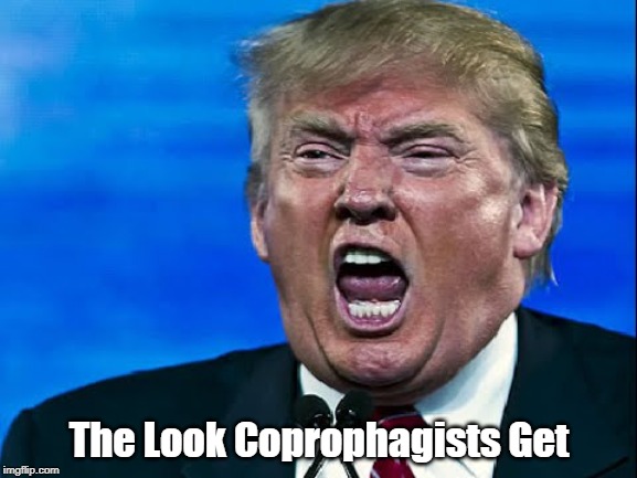 The Look Coprophagists Get | made w/ Imgflip meme maker