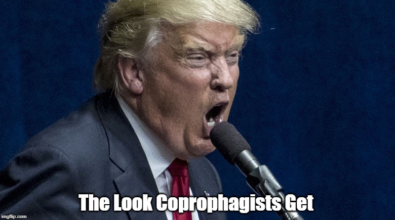 The Look Coprophagists Get | made w/ Imgflip meme maker