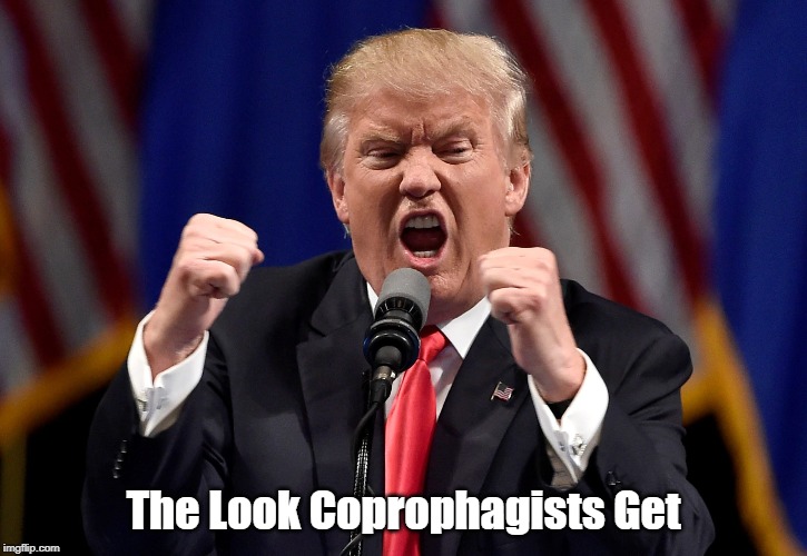 The Look Coprophagists Get | made w/ Imgflip meme maker