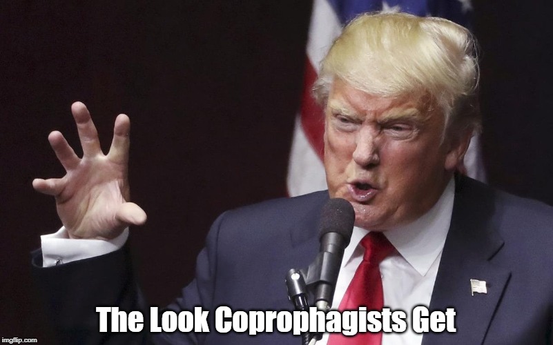 The Look Coprophagists Get | made w/ Imgflip meme maker