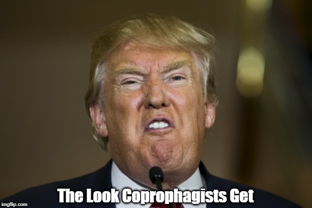 The Look Coprophagists Get | made w/ Imgflip meme maker