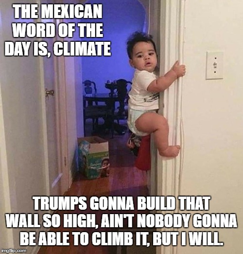 Maybe, maybe not | THE MEXICAN WORD OF THE DAY IS, CLIMATE; TRUMPS GONNA BUILD THAT WALL SO HIGH, AIN'T NOBODY GONNA BE ABLE TO CLIMB IT, BUT I WILL. | image tagged in mexicans,illegal aliens,build the wall,random | made w/ Imgflip meme maker