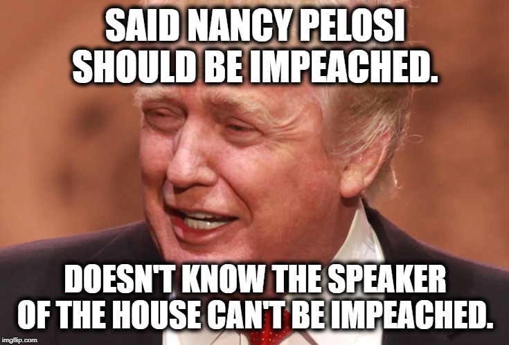 Wrong yet again, Captain A-Hole. | SAID NANCY PELOSI SHOULD BE IMPEACHED. DOESN'T KNOW THE SPEAKER OF THE HOUSE CAN'T BE IMPEACHED. | image tagged in donald trump,nancy pelosi,impeach trump,treason,traitor,moron | made w/ Imgflip meme maker