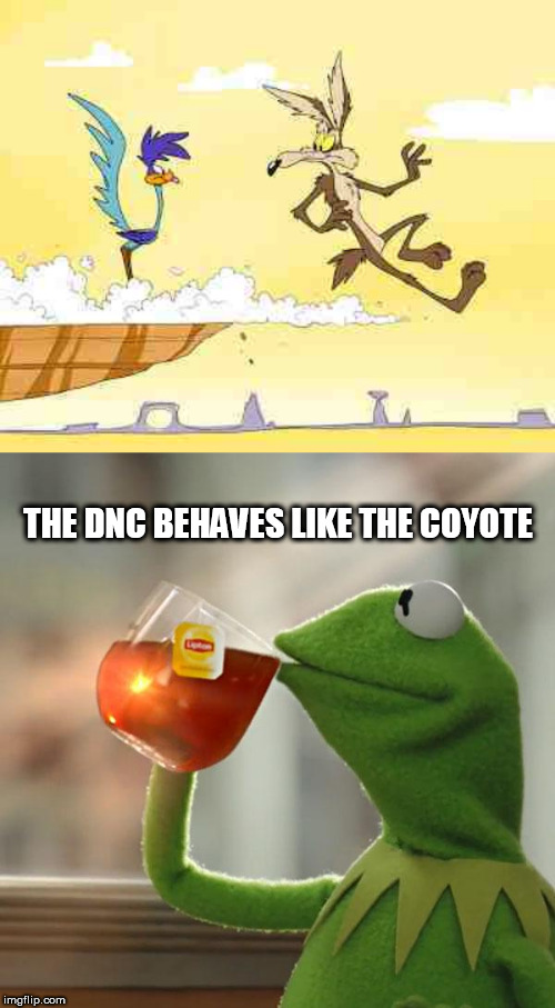 THE DNC BEHAVES LIKE THE COYOTE | image tagged in memes,but thats none of my business,wile e coyote roadrunner | made w/ Imgflip meme maker