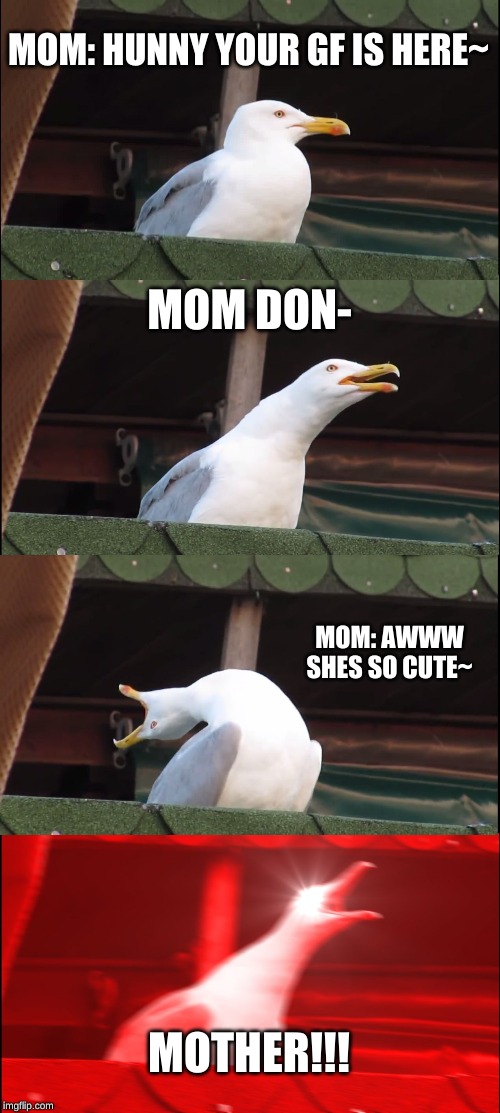 Inhaling Seagull Meme | MOM: HUNNY YOUR GF IS HERE~; MOM DON-; MOM: AWWW SHES SO CUTE~; MOTHER!!! | image tagged in memes,inhaling seagull | made w/ Imgflip meme maker