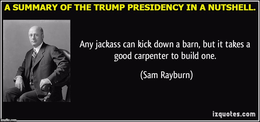Trump years summary - Rayburn | A SUMMARY OF THE TRUMP PRESIDENCY IN A NUTSHELL. | image tagged in trump years summary - rayburn,trump,jackass,barn,carpenter | made w/ Imgflip meme maker