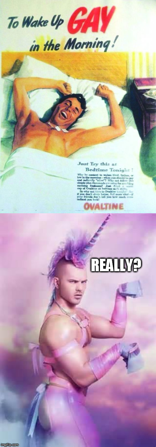 REALLY? | image tagged in gay unicorn,gay | made w/ Imgflip meme maker