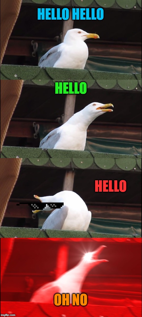 Inhaling Seagull | HELLO HELLO; HELLO; HELLO; OH NO | image tagged in memes,inhaling seagull | made w/ Imgflip meme maker