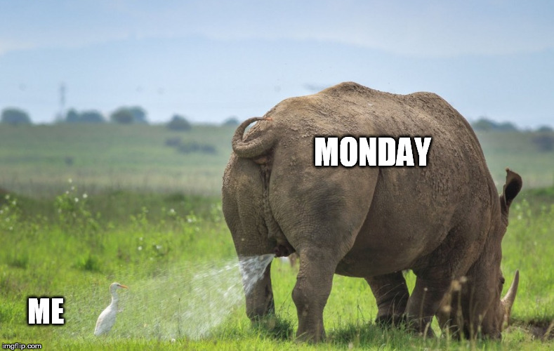 MONDAY; ME | image tagged in monday | made w/ Imgflip meme maker