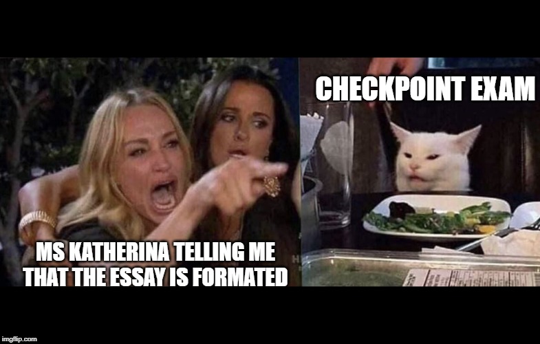 woman yelling at cat | CHECKPOINT EXAM; MS KATHERINA TELLING ME THAT THE ESSAY IS FORMATED | image tagged in woman yelling at cat | made w/ Imgflip meme maker