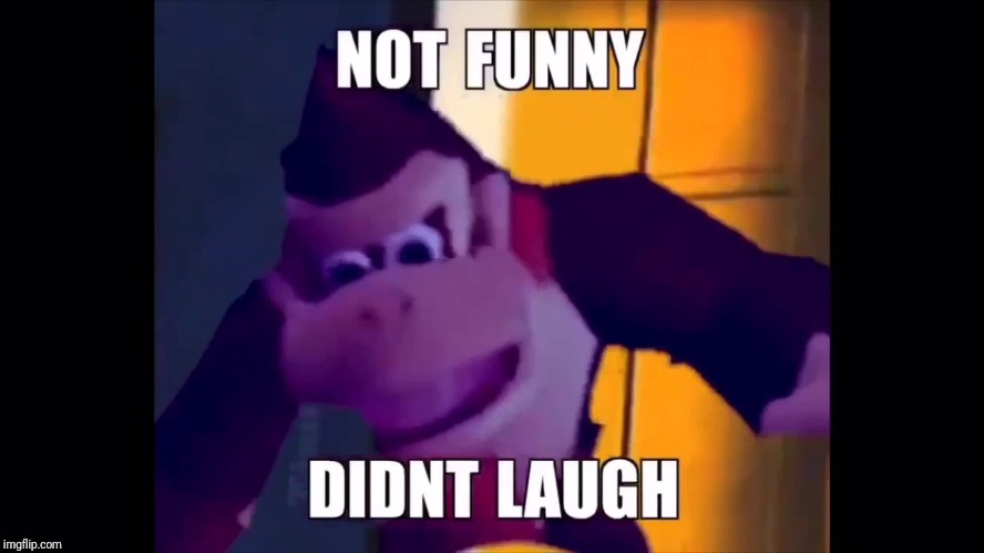Not funny didn't laugh | image tagged in not funny didn't laugh | made w/ Imgflip meme maker