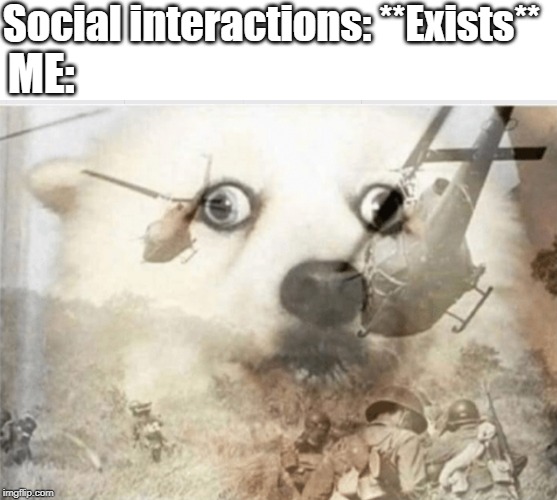 PTSD dog | Social interactions: **Exists**; ME: | image tagged in ptsd dog | made w/ Imgflip meme maker