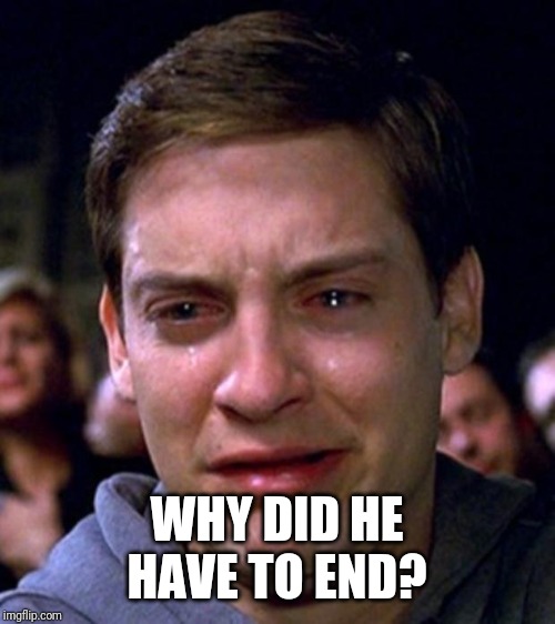 crying peter parker | WHY DID HE HAVE TO END? | image tagged in crying peter parker | made w/ Imgflip meme maker