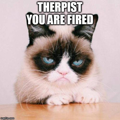 grumpy cat again | THERPIST
YOU ARE FIRED | image tagged in grumpy cat again | made w/ Imgflip meme maker