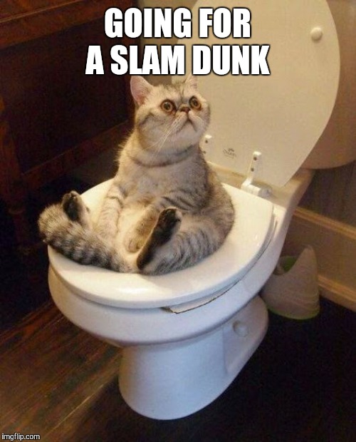 cat sitting on toilet | GOING FOR A SLAM DUNK | image tagged in cat sitting on toilet | made w/ Imgflip meme maker