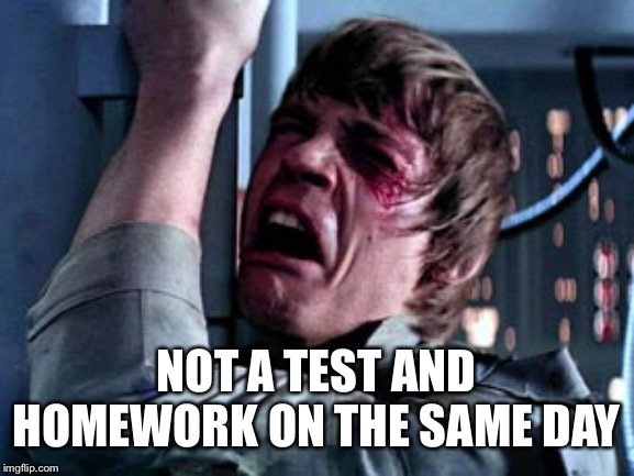 Luke Skywalker Noooo | NOT A TEST AND HOMEWORK ON THE SAME DAY | image tagged in luke skywalker noooo | made w/ Imgflip meme maker