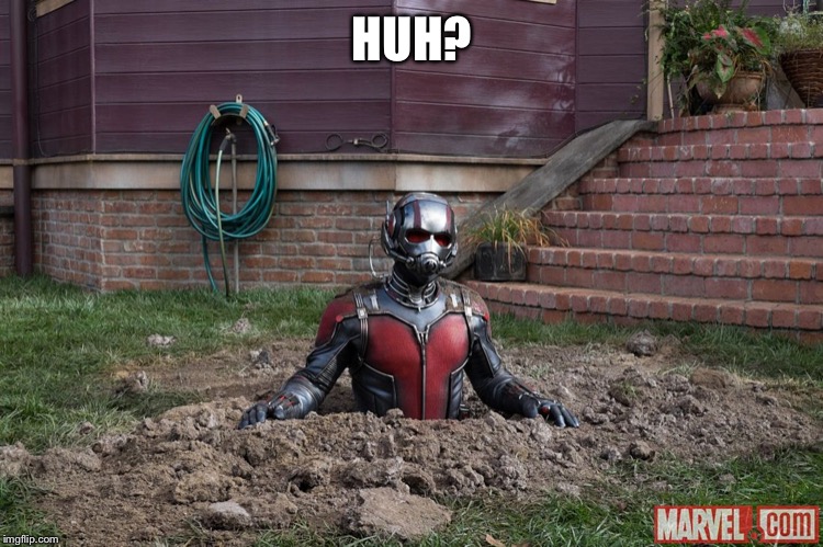 Antman steel | HUH? | image tagged in antman steel | made w/ Imgflip meme maker