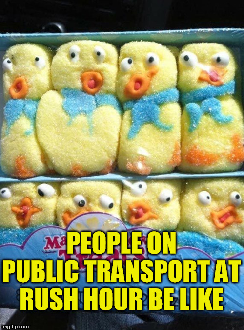 PEOPLE ON PUBLIC TRANSPORT AT RUSH HOUR BE LIKE | image tagged in rush hour,public transport,overcrowded | made w/ Imgflip meme maker