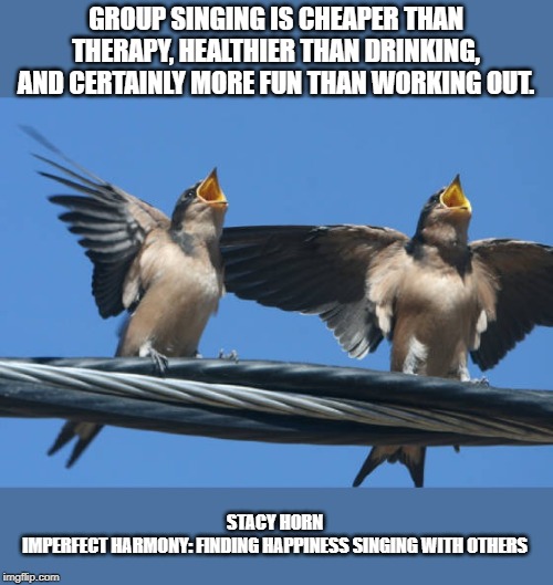 Singing for Stress Relief | GROUP SINGING IS CHEAPER THAN THERAPY, HEALTHIER THAN DRINKING, AND CERTAINLY MORE FUN THAN WORKING OUT. STACY HORN
IMPERFECT HARMONY: FINDING HAPPINESS SINGING WITH OTHERS | image tagged in singing,choir,mental health | made w/ Imgflip meme maker