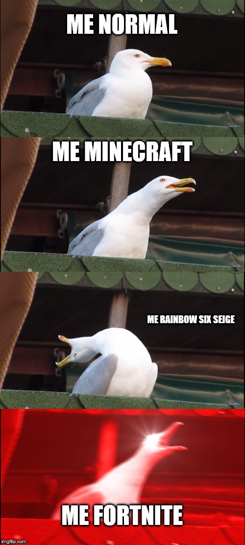 Inhaling Seagull Meme | ME NORMAL; ME MINECRAFT; ME RAINBOW SIX SEIGE; ME FORTNITE | image tagged in memes,inhaling seagull | made w/ Imgflip meme maker