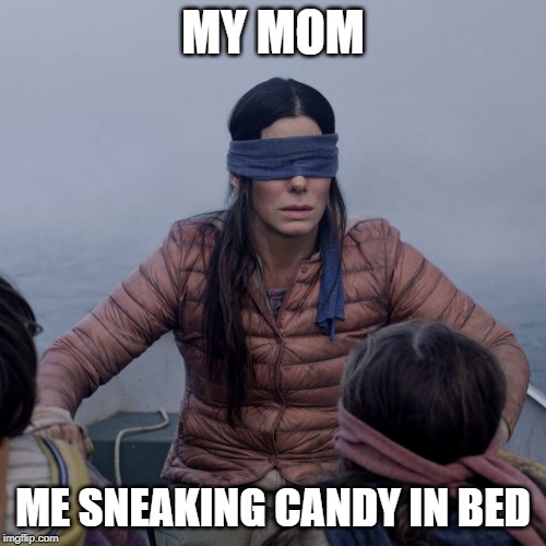 Bird Box Meme | MY MOM; ME SNEAKING CANDY IN BED | image tagged in memes,bird box | made w/ Imgflip meme maker