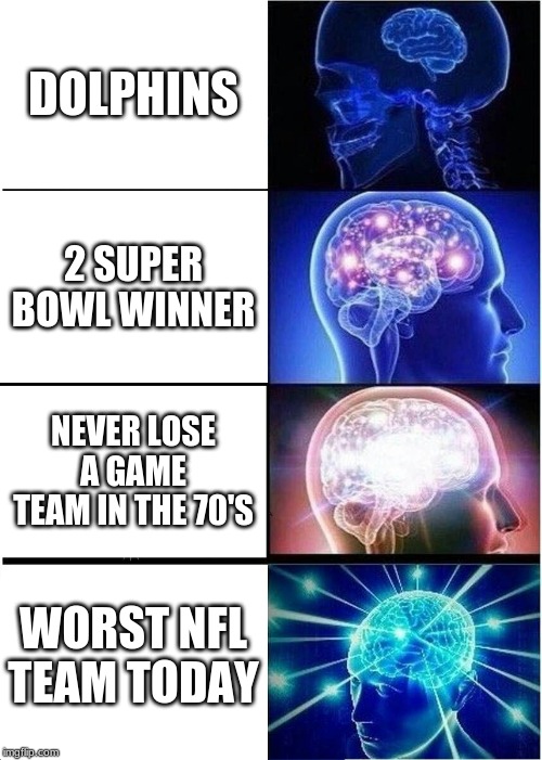 Expanding Brain Meme | DOLPHINS; 2 SUPER BOWL WINNER; NEVER LOSE A GAME TEAM IN THE 70'S; WORST NFL TEAM TODAY | image tagged in memes,expanding brain | made w/ Imgflip meme maker