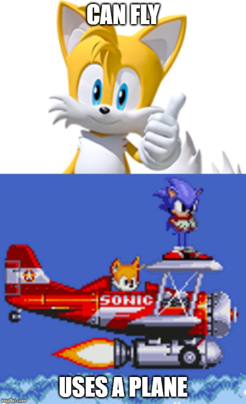 And y'all thought Tails was smart. | CAN FLY; USES A PLANE | image tagged in memes,sonic,sonic the hedgehog,tails | made w/ Imgflip meme maker