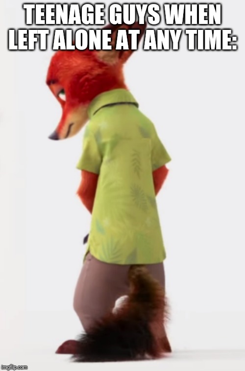 Nick's Special Time | TEENAGE GUYS WHEN LEFT ALONE AT ANY TIME: | image tagged in nick wilde embarrassed,zootopia,nick wilde,masturbation,funny,memes | made w/ Imgflip meme maker