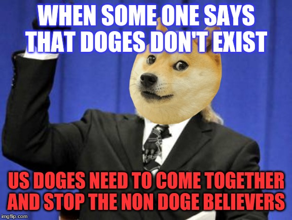 politics doge edition | WHEN SOME ONE SAYS THAT DOGES DON'T EXIST; US DOGES NEED TO COME TOGETHER AND STOP THE NON DOGE BELIEVERS | image tagged in memes,funny | made w/ Imgflip meme maker
