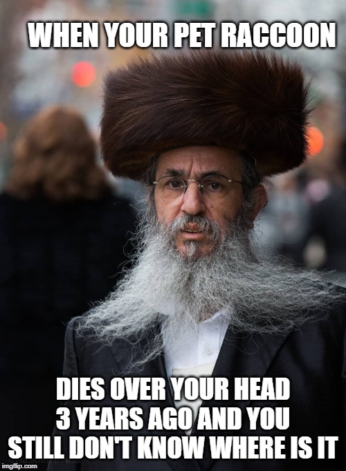 WHEN YOUR PET RACCOON; DIES OVER YOUR HEAD 3 YEARS AGO AND YOU STILL DON'T KNOW WHERE IS IT | image tagged in pets,raccoon,jews,jewish,religion,funny | made w/ Imgflip meme maker