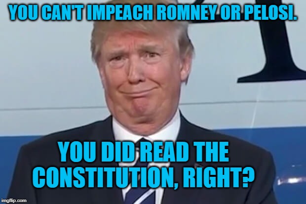 donald trump | YOU CAN'T IMPEACH ROMNEY OR PELOSI. YOU DID READ THE CONSTITUTION, RIGHT? | image tagged in donald trump | made w/ Imgflip meme maker