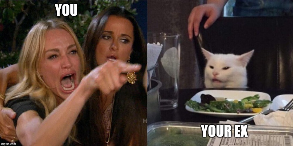 Woman yelling at cat | YOU; YOUR EX | image tagged in woman yelling at cat | made w/ Imgflip meme maker