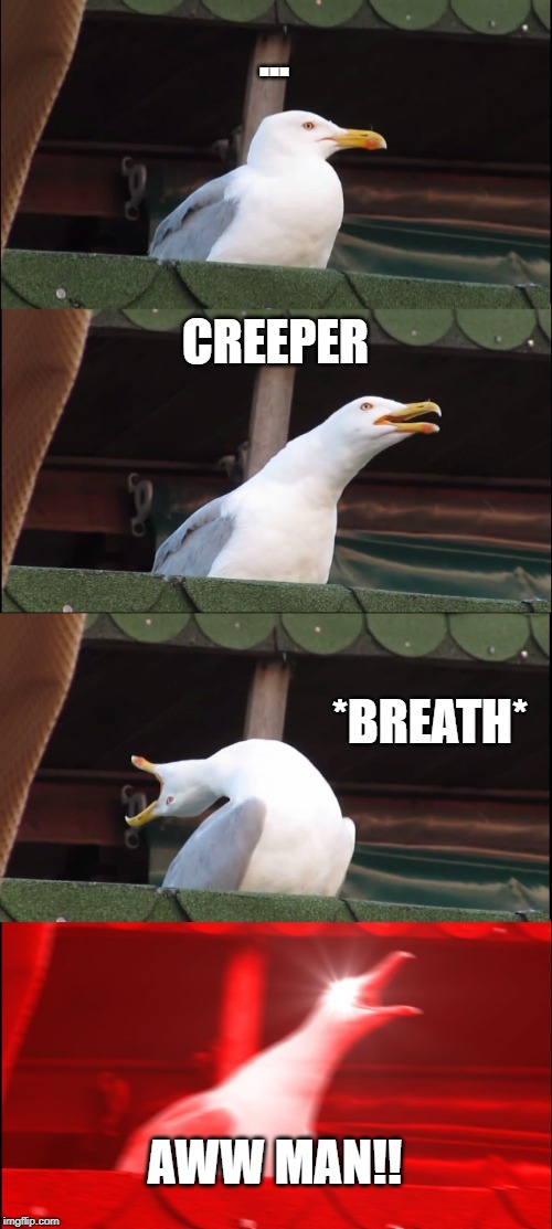 Inhaling Seagull Meme | ... CREEPER; *BREATH*; AWW MAN!! | image tagged in memes,inhaling seagull | made w/ Imgflip meme maker